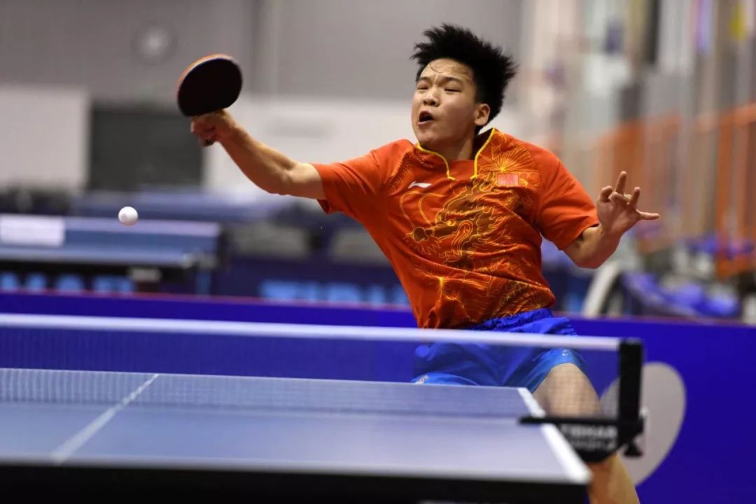 东契奇不仅 东契奇不仅